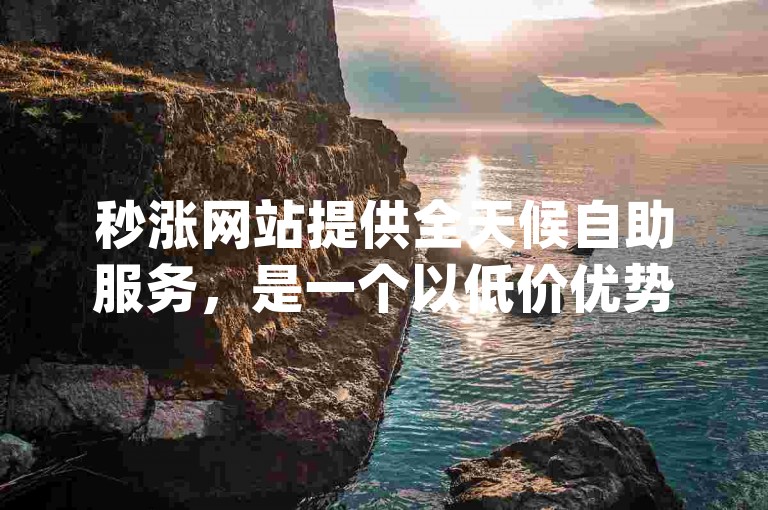 秒涨网站提供全天候自助服务，是一个以低价优势进行dy业务代刷的十个平台之一。