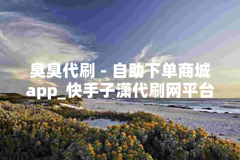 臭臭代刷 - 自助下单商城app_快手子潇代刷网平台,使用非官方途径获取网名可能带来的安全风险。