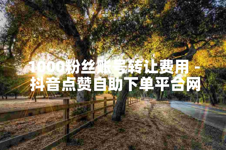 1000粉丝账号转让费用 - 抖音点赞自助下单平台网站免费