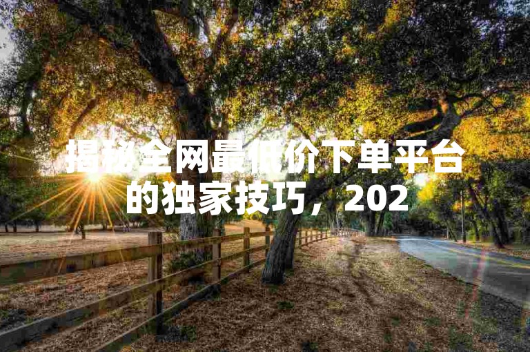 揭秘全网最低价下单平台的独家技巧，2025年必备知识，助你轻松找到最实惠的下单选择！