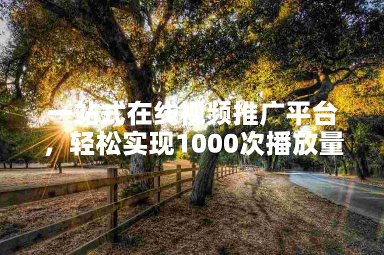 一站式在线视频推广平台，轻松实现1000次播放量的目标。