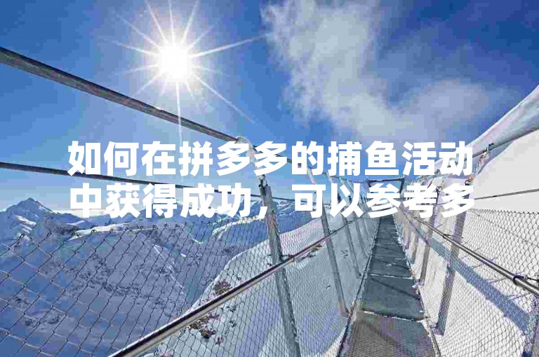 如何在拼多多的捕鱼活动中获得成功，可以参考多多砍价网站提供的攻略。