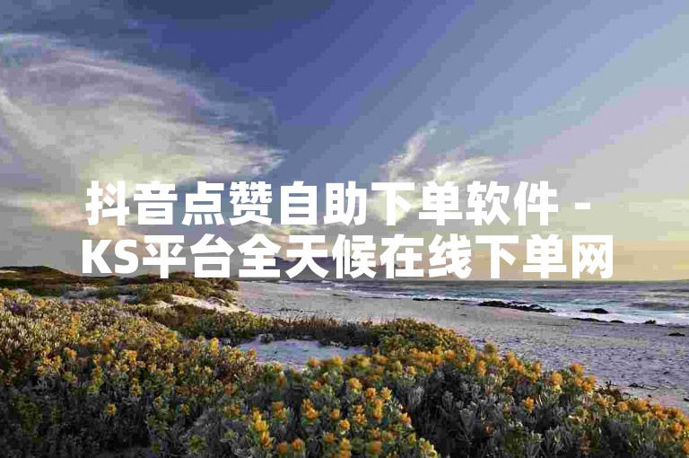 抖音点赞自助下单软件 - KS平台全天候在线下单网站。