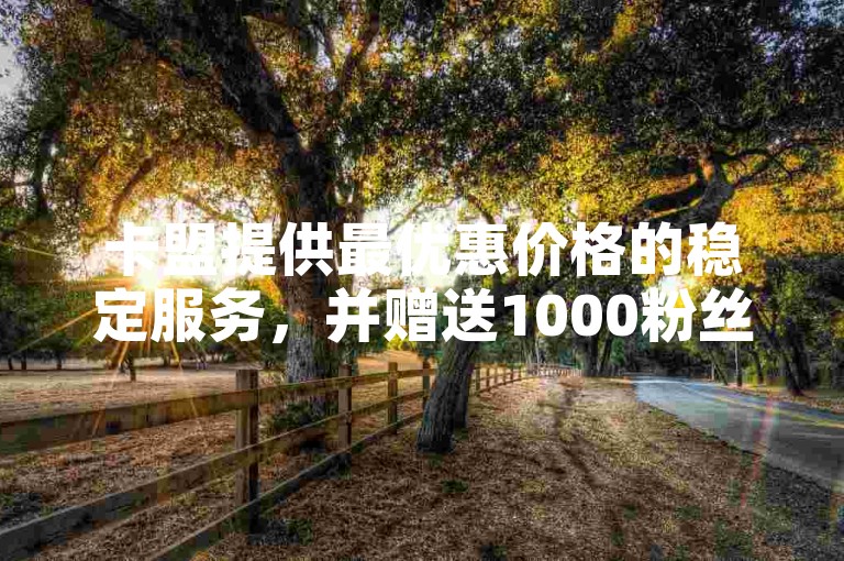 卡盟提供最优惠价格的稳定服务，并赠送1000粉丝增长。