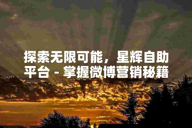 探索无限可能，星辉自助平台 - 掌握微博营销秘籍，快速提升影响力 - 微信业务秒涨粉技巧大公开！