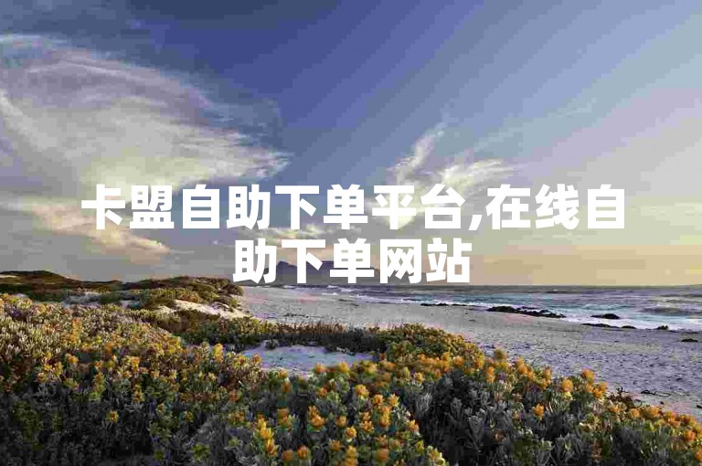 卡盟自助下单平台,在线自助下单网站