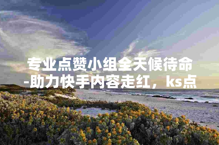 专业点赞小组全天候待命-助力快手内容走红，ks点赞服务专家。