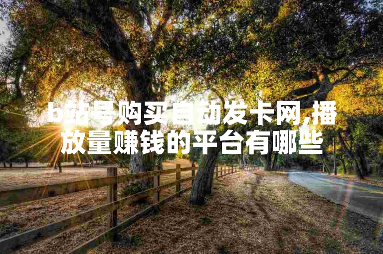 b站号购买自动发卡网,播放量赚钱的平台有哪些