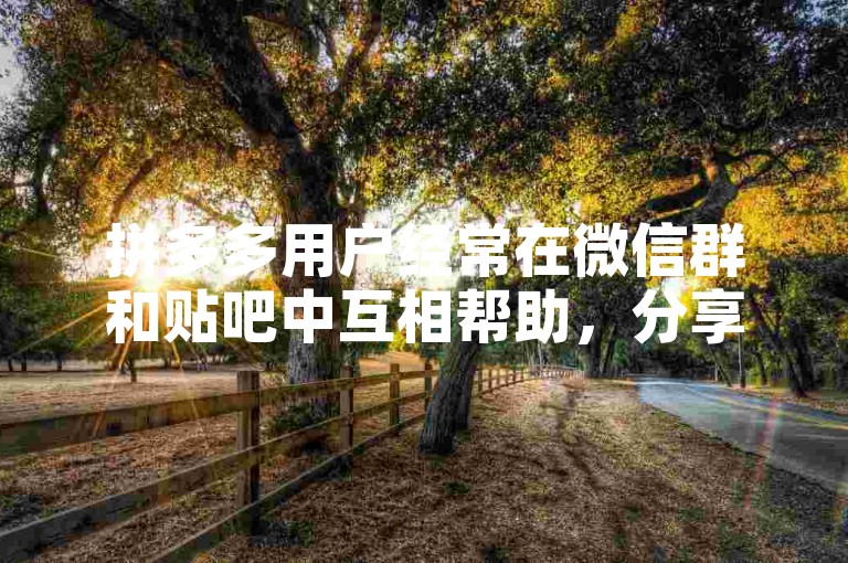 拼多多用户经常在微信群和贴吧中互相帮助，分享优惠信息。