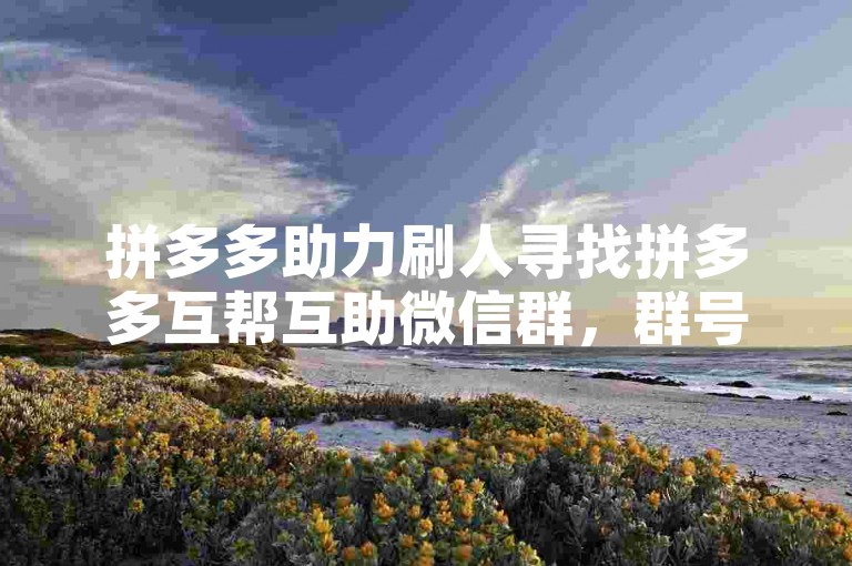拼多多助力刷人寻找拼多多互帮互助微信群，群号是多少？