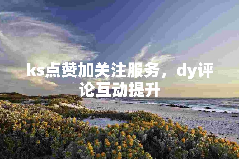 ks点赞加关注服务，dy评论互动提升