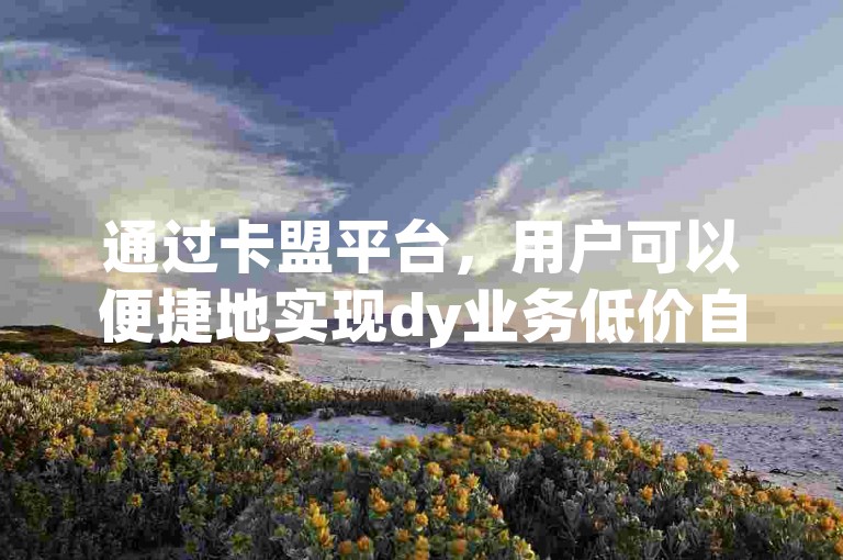 通过卡盟平台，用户可以便捷地实现dy业务低价自助下单转发。