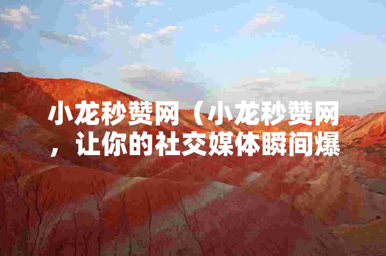 小龙秒赞网（小龙秒赞网，让你的社交媒体瞬间爆红）