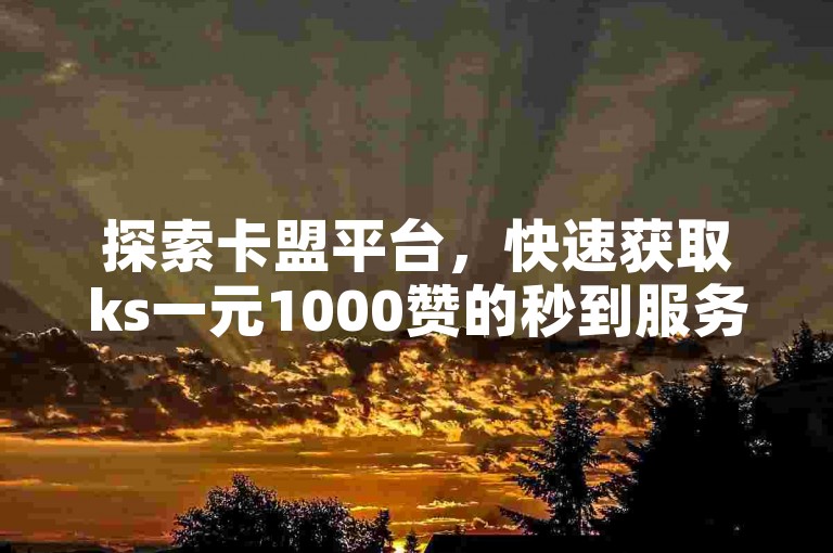 探索卡盟平台，快速获取ks一元1000赞的秒到服务，尽在官网入口。
