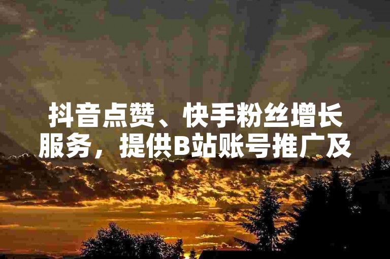 抖音点赞、快手粉丝增长服务，提供B站账号推广及视频播放量提升的一站式自助下单解决方案。
