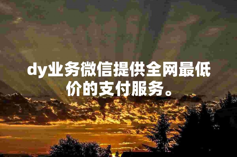 dy业务微信提供全网最低价的支付服务。