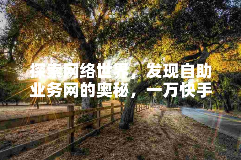 探索网络世界，发现自助业务网的奥秘，一万快手播放量等你来领 - 今日头条万粉号的价值究竟几何？