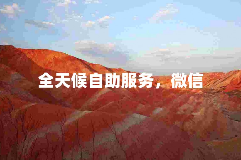 全天候自助服务，微信51账号交易，便捷无忧。
