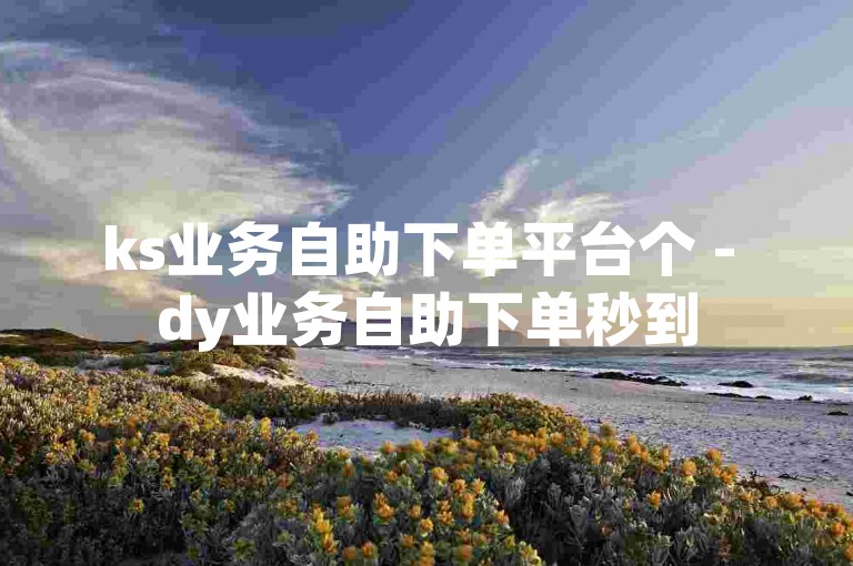 ks业务自助下单平台个 - dy业务自助下单秒到