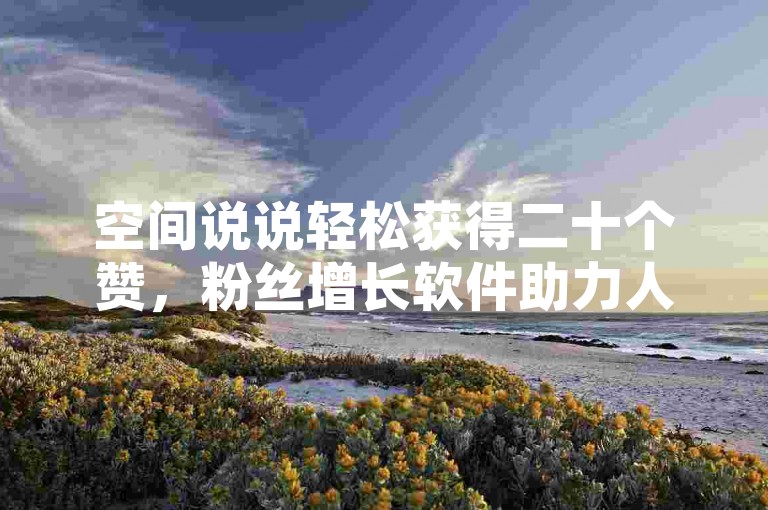 空间说说轻松获得二十个赞，粉丝增长软件助力人气飙升。
