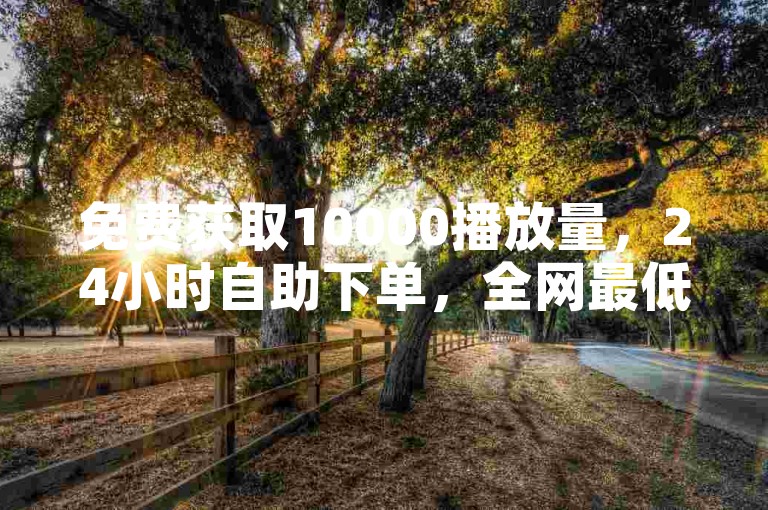 免费获取10000播放量，24小时自助下单，全网最低价ks。