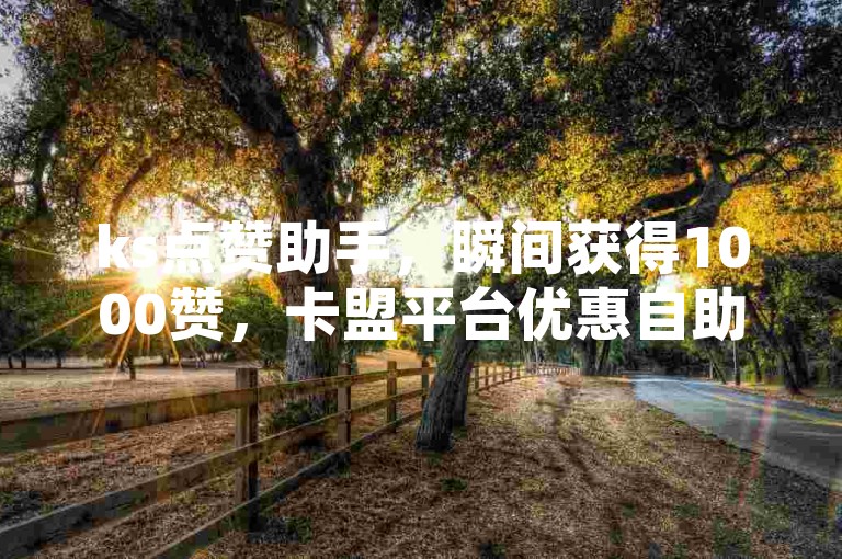 ks点赞助手，瞬间获得1000赞，卡盟平台优惠自助服务。