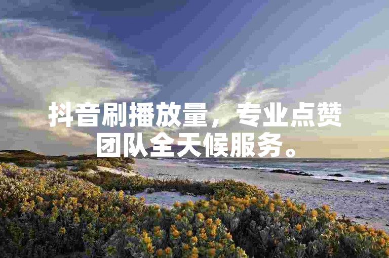 抖音刷播放量，专业点赞团队全天候服务。