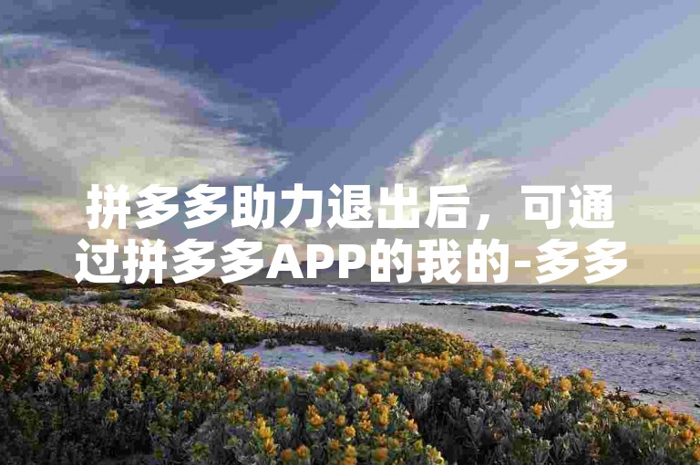 拼多多助力退出后，可通过拼多多APP的我的-多多果园或相关活动页面重新进入助力界面。