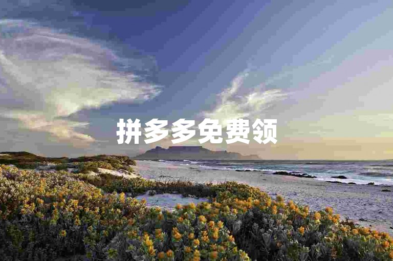 拼多多免费领5件需要的人数视活动而定，而B站业务下单平台则是一个提供视频内容交易的在线服务平台。