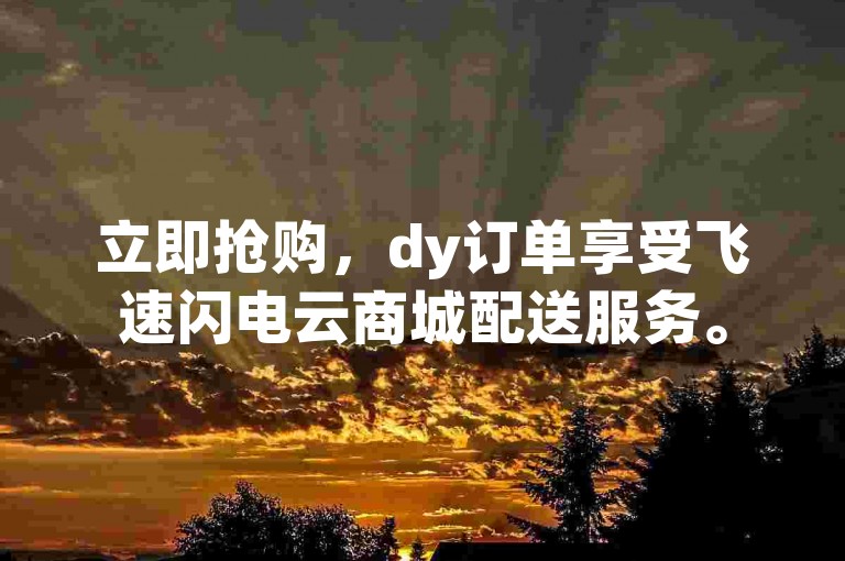 立即抢购，dy订单享受飞速闪电云商城配送服务。