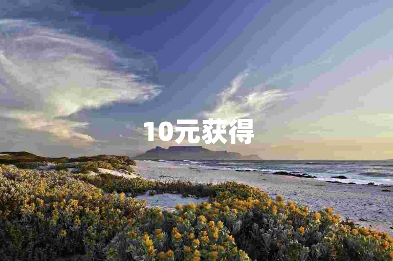 10元获得5000浏览量-微博推广服务网站