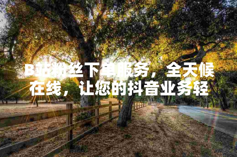 B站粉丝下单服务，全天候在线，让您的抖音业务轻松获得更多关注。