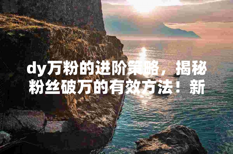 dy万粉的进阶策略，揭秘粉丝破万的有效方法！新手必读！