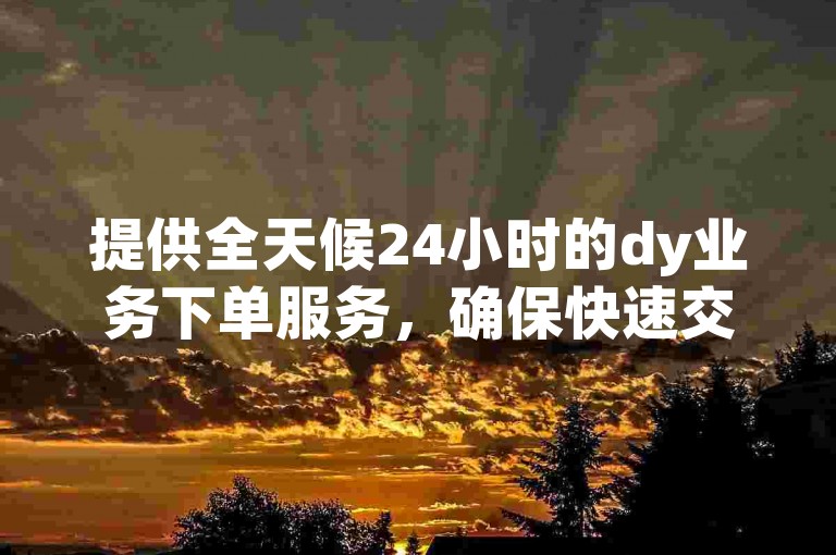 提供全天候24小时的dy业务下单服务，确保快速交付和高效便捷的用户体验。