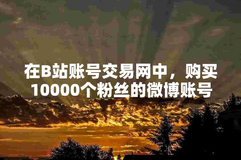 在B站账号交易网中，购买10000个粉丝的微博账号通常需要支付一定的费用。