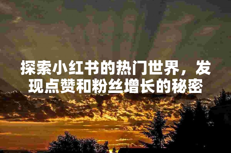 探索小红书的热门世界，发现点赞和粉丝增长的秘密武器。
