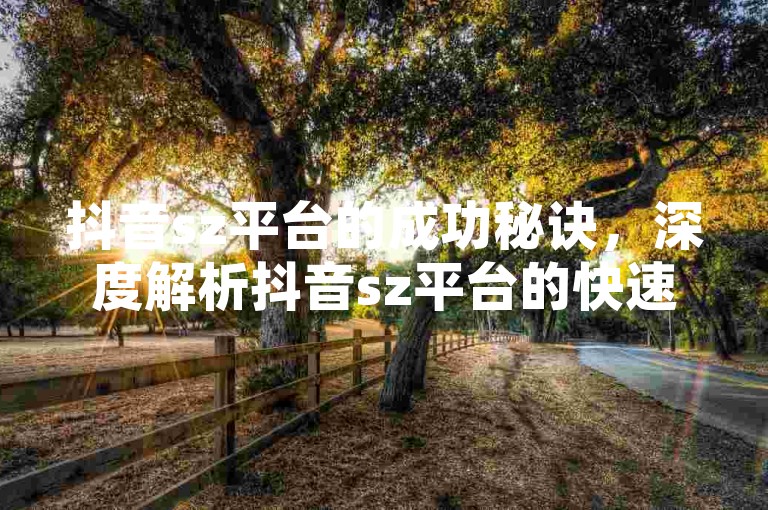 抖音sz平台的成功秘诀，深度解析抖音sz平台的快速增长与未来趋势！2024年不可错过。