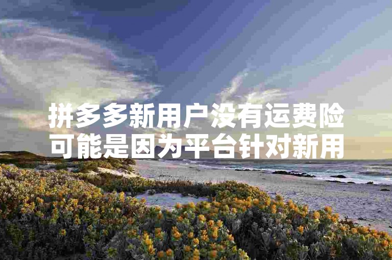 拼多多新用户没有运费险可能是因为平台针对新用户的优惠政策不包括此项服务。