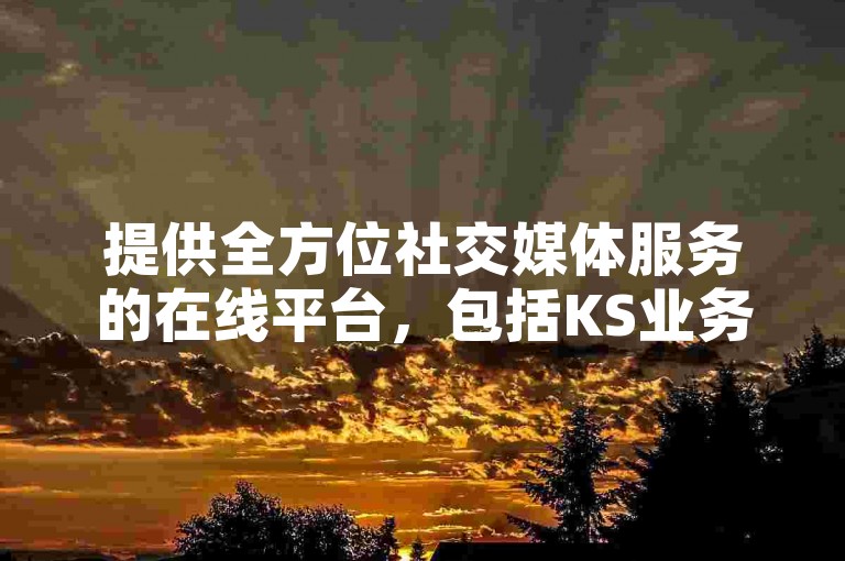 提供全方位社交媒体服务的在线平台，包括KS业务下单、抖音充值以及快手亲密度打call软件，确保24小时超低价点赞服务。