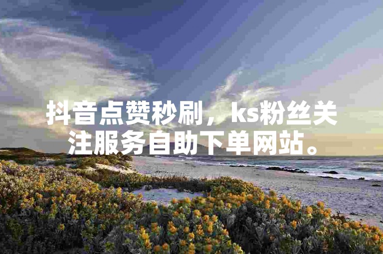 抖音点赞秒刷，ks粉丝关注服务自助下单网站。