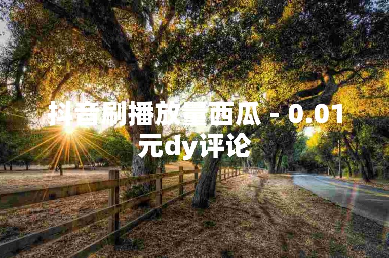 抖音刷播放量西瓜 - 0.01元dy评论