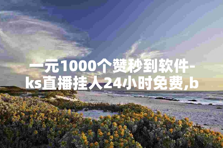 一元1000个赞秒到软件-ks直播挂人24小时免费,b站24小时下单平台网站