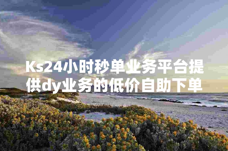 Ks24小时秒单业务平台提供dy业务的低价自助下单转发服务。