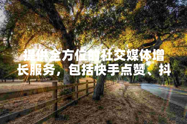 提供全方位的社交媒体增长服务，包括快手点赞、抖音粉丝等，助力您的账号快速提升影响力。