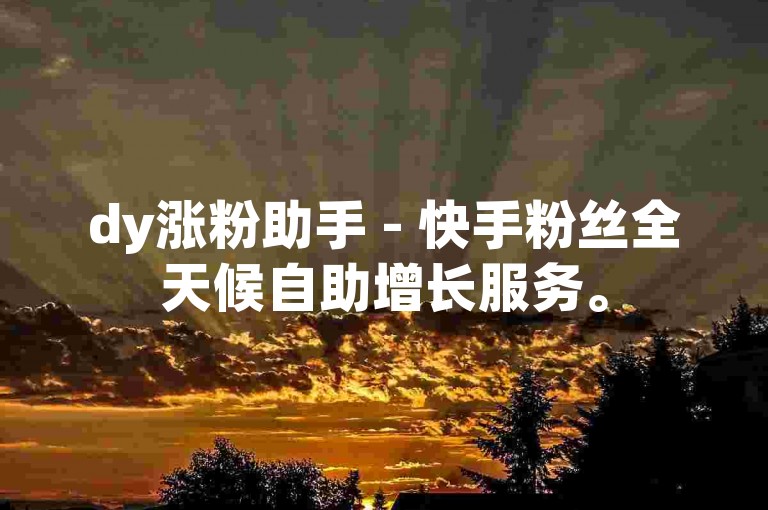 dy涨粉助手 - 快手粉丝全天候自助增长服务。