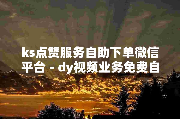 ks点赞服务自助下单微信平台 - dy视频业务免费自助下单微信平台