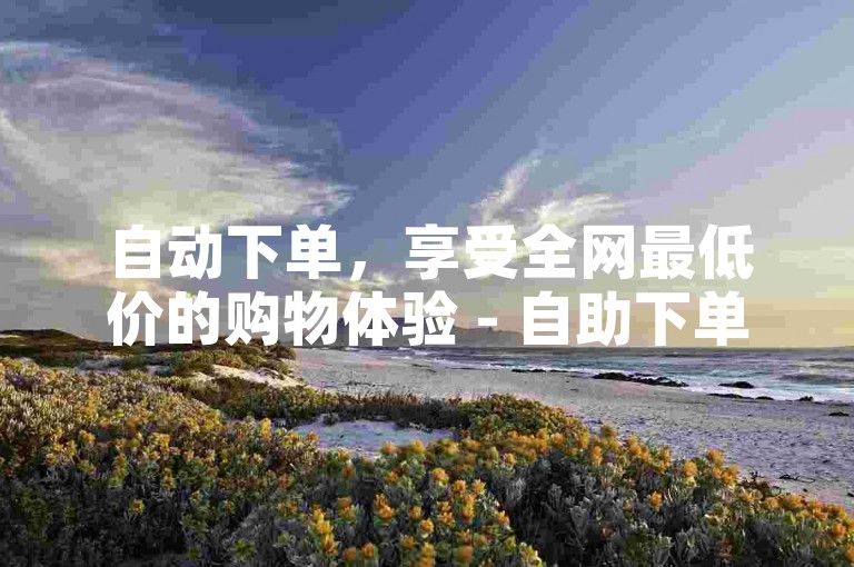 自动下单，享受全网最低价的购物体验 - 自助下单平台提供最经济的选择。