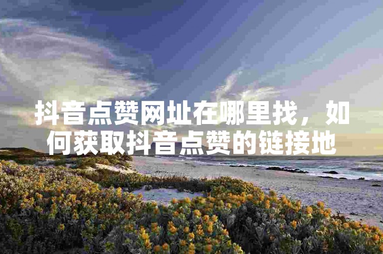 抖音点赞网址在哪里找，如何获取抖音点赞的链接地址？