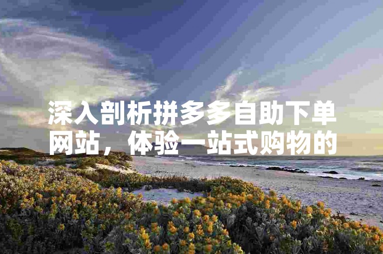 深入剖析拼多多自助下单网站，体验一站式购物的便捷新模式。
