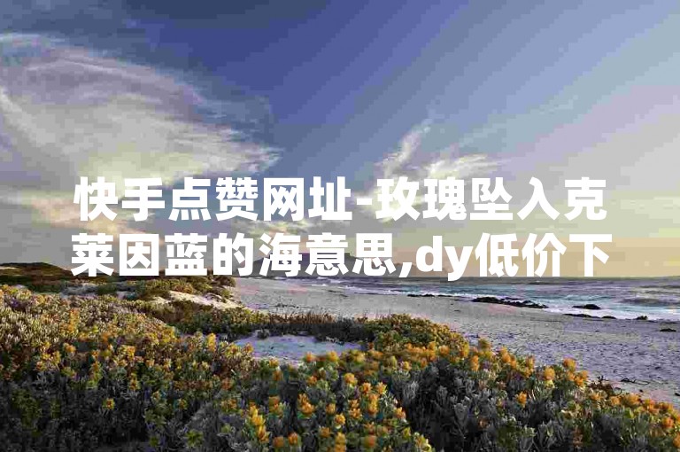 快手点赞网址-玫瑰坠入克莱因蓝的海意思,dy低价下单平台秒到